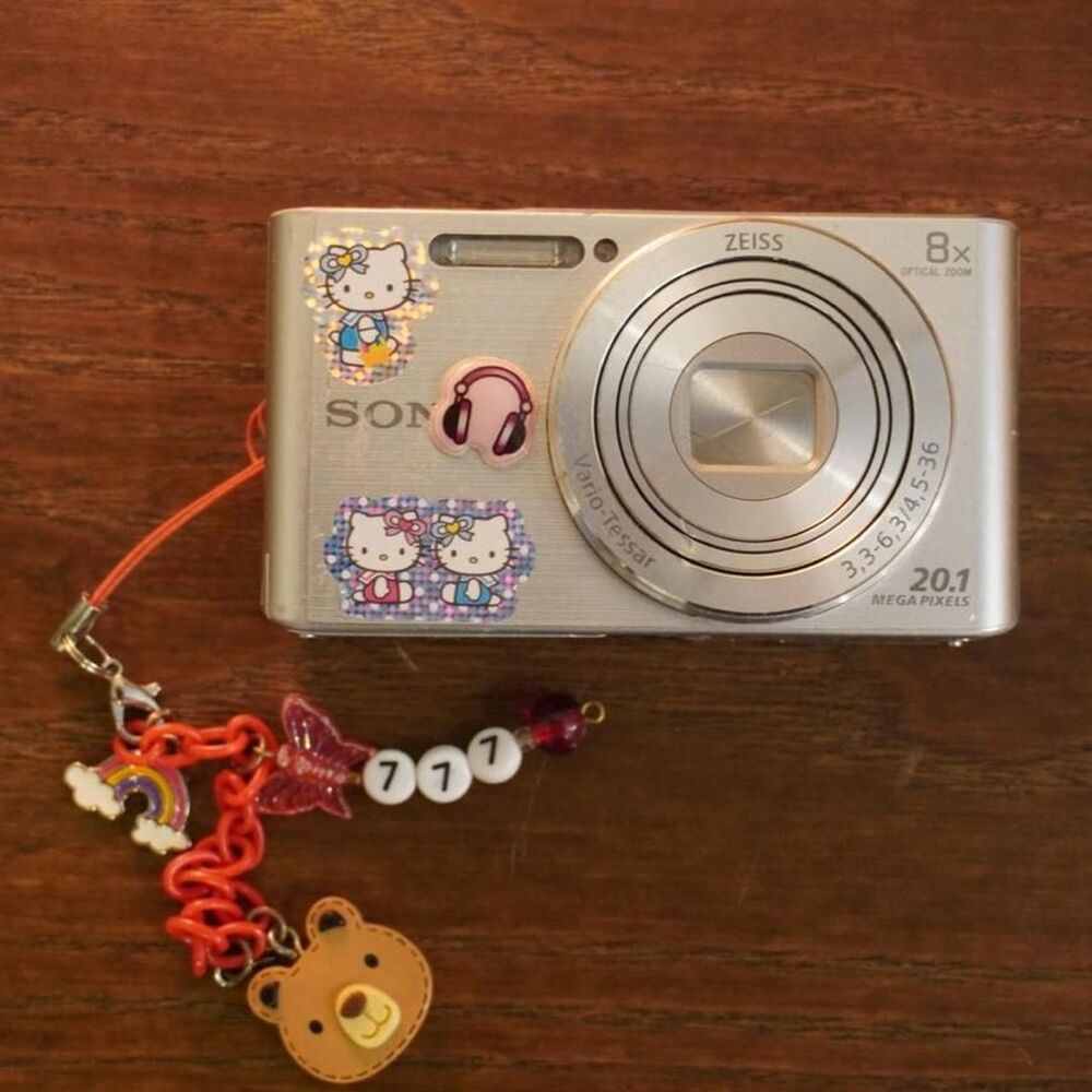 Sony Silver and Grey Cameras-and-accessories